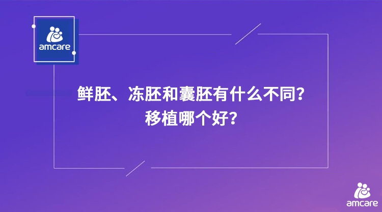 鲜胚、冻胚和囊胚有什么不同？移植哪个好？.jpg