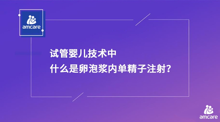 试管婴儿技术中什么是卵泡浆内单精子注射？.jpg